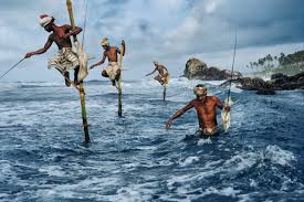 Resultado de imagen de steve mccurry