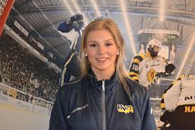 Hv71 : ce qu'il faut savoir — image 5