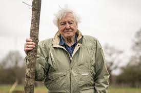 Once-in-a-lifetime wildlife trips inspired by Sir David Attenborough’s 100th birthday