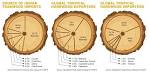 Best hardwood for furniture in India