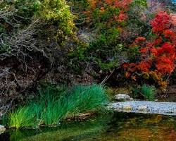 Image of Lost Maples State Natural Area Texas