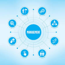 Management Chart With Keywords And Icons Stock Illustration ...