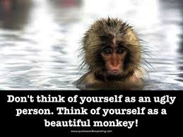 funny monkey pictures with sayings 1 300x225 | humorous ... via Relatably.com