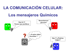  Bioseñalización