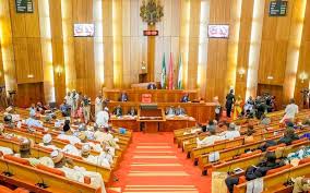 Image result for national assembly nigeria