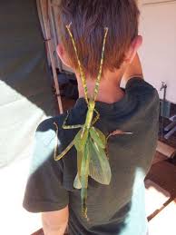 images?q=tbn:ANd9GcT7Vq_BUvCWpeVa5Kig3A8EaLkCY2OHMGx3tOKgtgVD5jDqDUDi