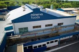 Lucro da Minerva, gigante do agronegócio, desaba 53% no 1º trimestre