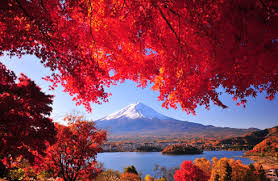 日本賞楓高清  Photography 攝影特區