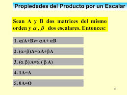 Resultado de imagen para producto UN ESCALAR POR UNA MATRIZ