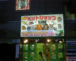 pet store in Shinjukuの画像