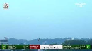 Zampa and Davis spin a web as Australia draws first blood in Bangladesh T20 series