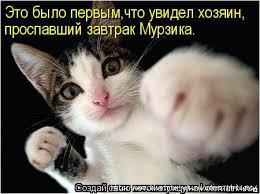 Агентство S&P подтвердило рейтинги России с "негативным" прогнозом - Цензор.НЕТ 9602