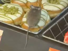 Viral video shows mouse among donuts at Dunkin’ in Eindhoven