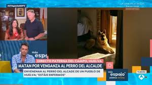 20Minutos - News update