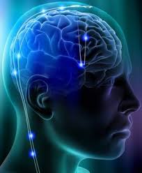 Resultado de imagen para neurotransmisores