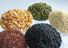 Résultat de recherche d'images pour "gluten"