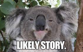 skeptical koala picture on VisualizeUs via Relatably.com