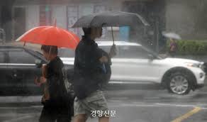 오늘날씨 관련 이미지