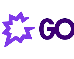 Imagen de Gong.io logo
