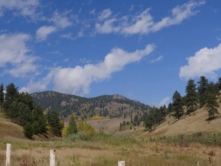 SMALL APPLIANCE REPAIR Jefferson County, CO