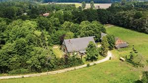 Sommerhaus der Stars: Jubiläum, Drama und Blitz-Ausstieg! - Imagen principal del artículo