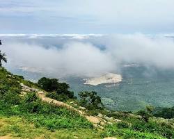 Image of Yercaud Hills, Tamil Nadu