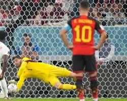 Image of Thibaut Courtois euro 2024 save