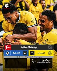 نتیجه بازی دورتموند و هامبورگ؛ دو بر صفر