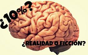 Resultado de imagen para imagenes y fotos del cerebro