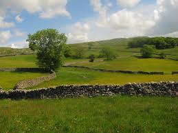 Image result for rock wall field