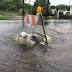 Hurricane Hermine leaves Tampa Bay area befouled