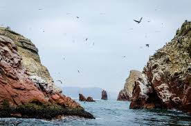 Resultado de imagen para collage de imagenes de las islas ballestas