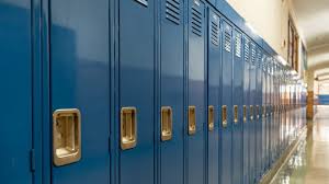 Split Verdict in School Referendums: Branchburg Rejects, North Plainfield Approves