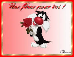 Résultat de recherche d'images pour "gros minet en image"