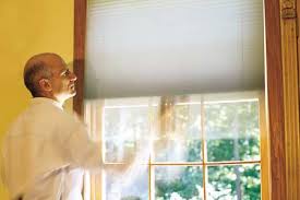 Hunter Douglas Shades