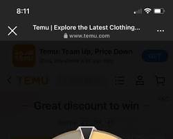 Image of Temu Instagram page