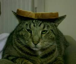 images?q=tbn:ANd9GcT9nmqeavjJimYk84CsAV-lOZlfMW04h95ETYLuWpXdJB7uFf72FQ