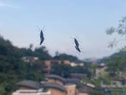 조선일보 - News update