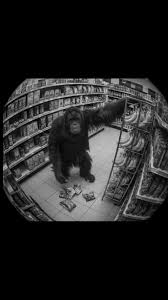 aqui no RJ tá foda mesmo 😞 #foryou #animals #apes #fyp #fy ...