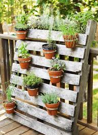 Image result for gardening in pots