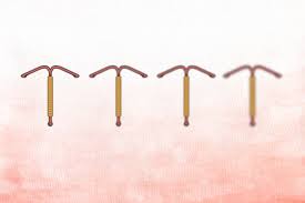Image result for IUD image