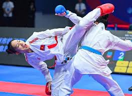 Karate Việt Nam học hỏi ở giải thế giới