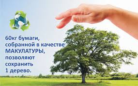 Картинки по запросу картинки по сбору макулатуры