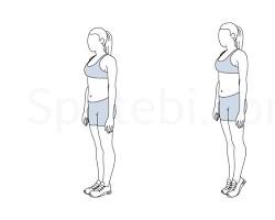 Calf raises workout