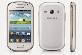 Image result for flash samsung s6810