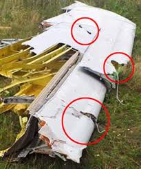 Image result for mh17 wings