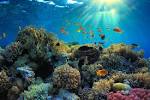 Scuba diving destinations