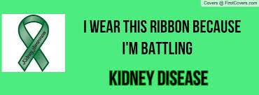 Funny Kidney Quotes | kat4evrs_kidney_disease_cover-229279.jpg?i ... via Relatably.com