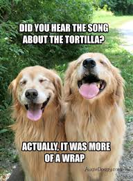 Cute Animal Memes on Pinterest | Funny Animal Pictures, Funny ... via Relatably.com