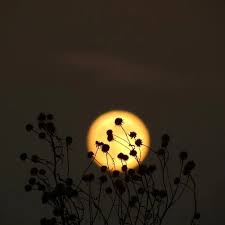 La pleine lune la plus intense de l’année arrive ce vendredi